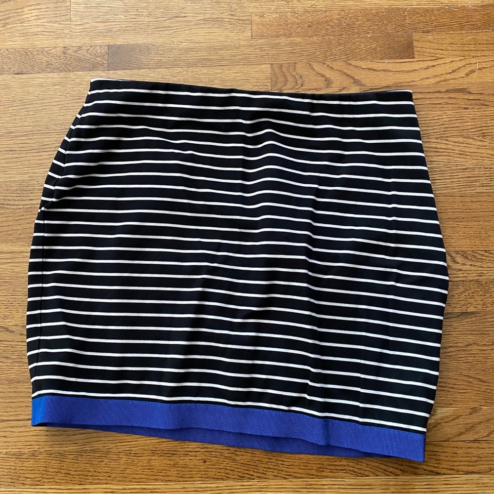 Ann Taylor Skirt